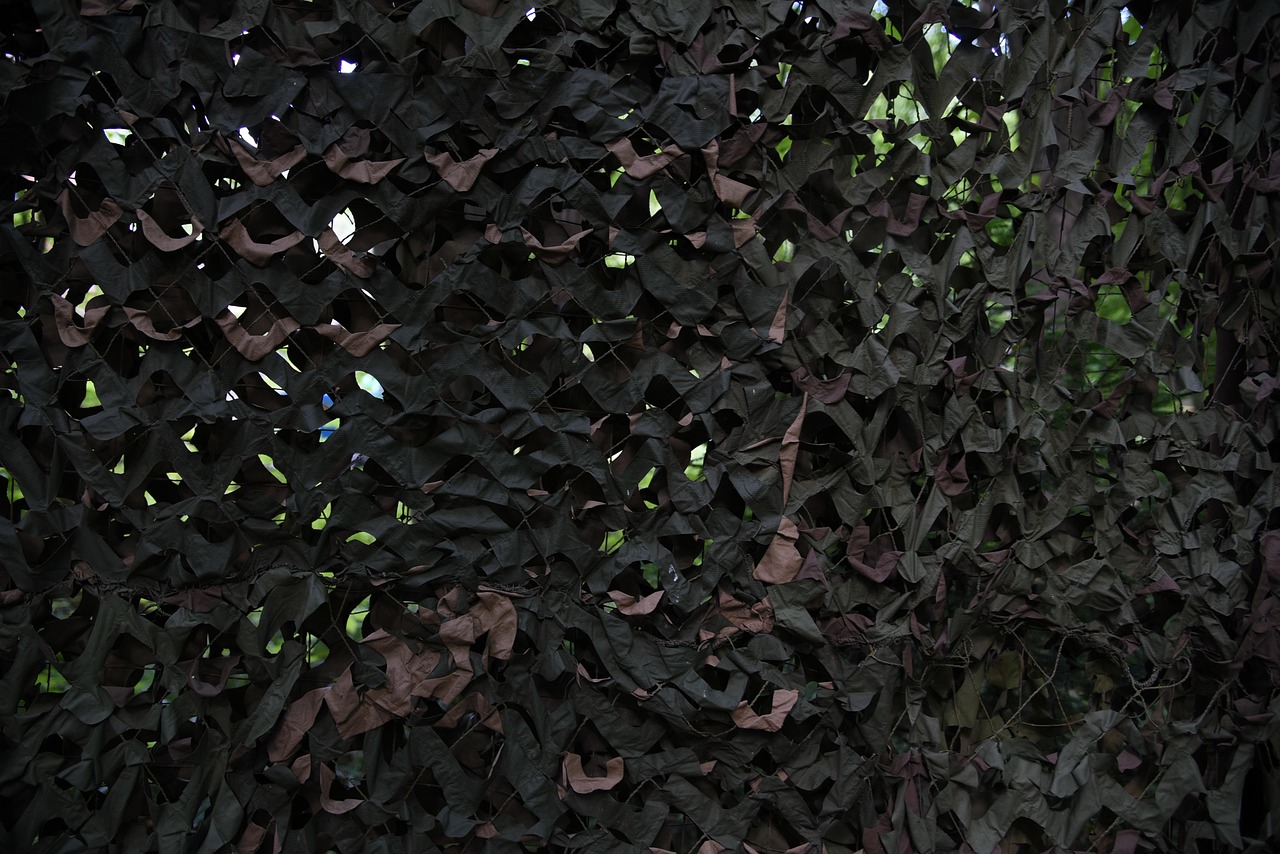 0月租流量卡：流量卡网络速度：流量卡和移动网络的网络速度有哪些不同？