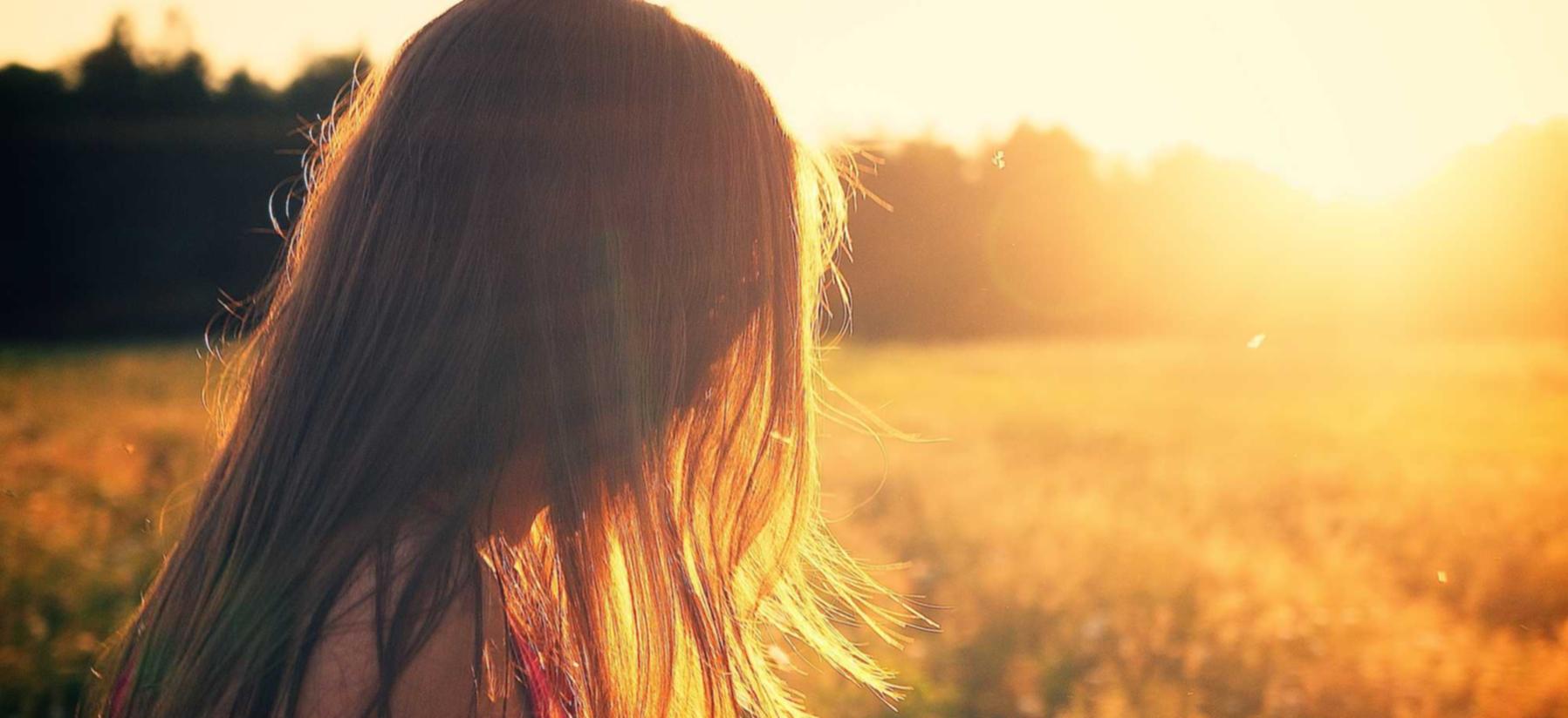 至尊义乌草莓购买平台