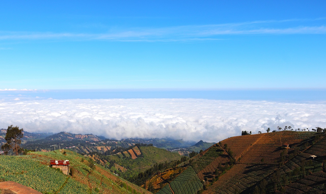 技术支持辅助制作者对游戏和社会的影响