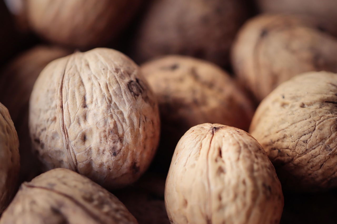 新宝6泰顺小规模代理记账平台