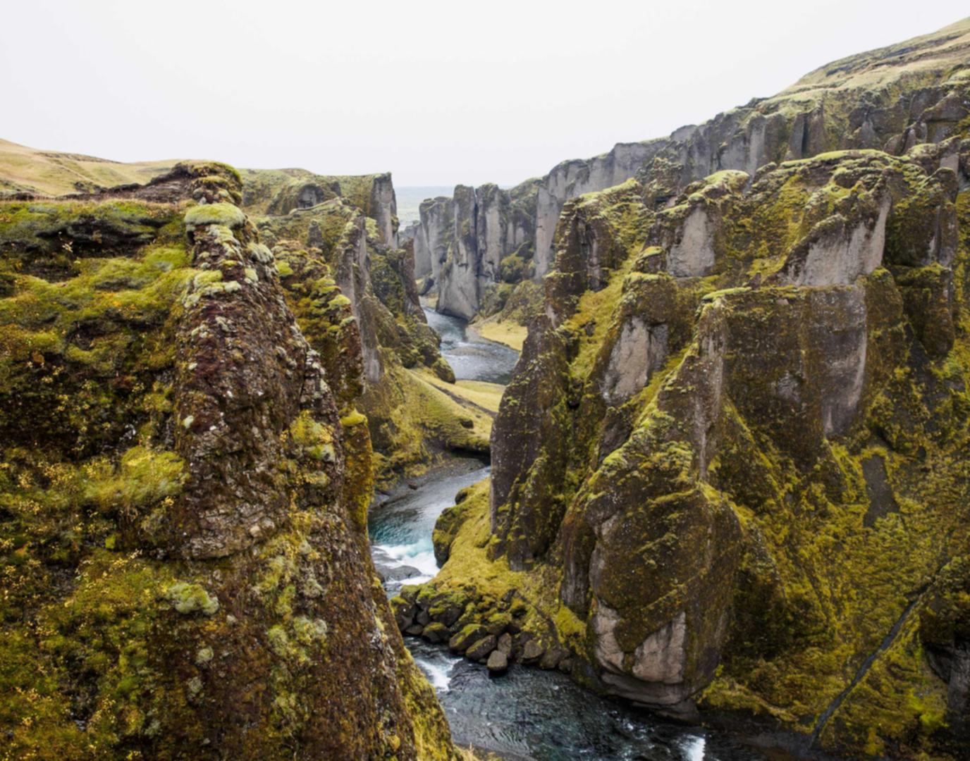 技术支持是否会影响你的生活？