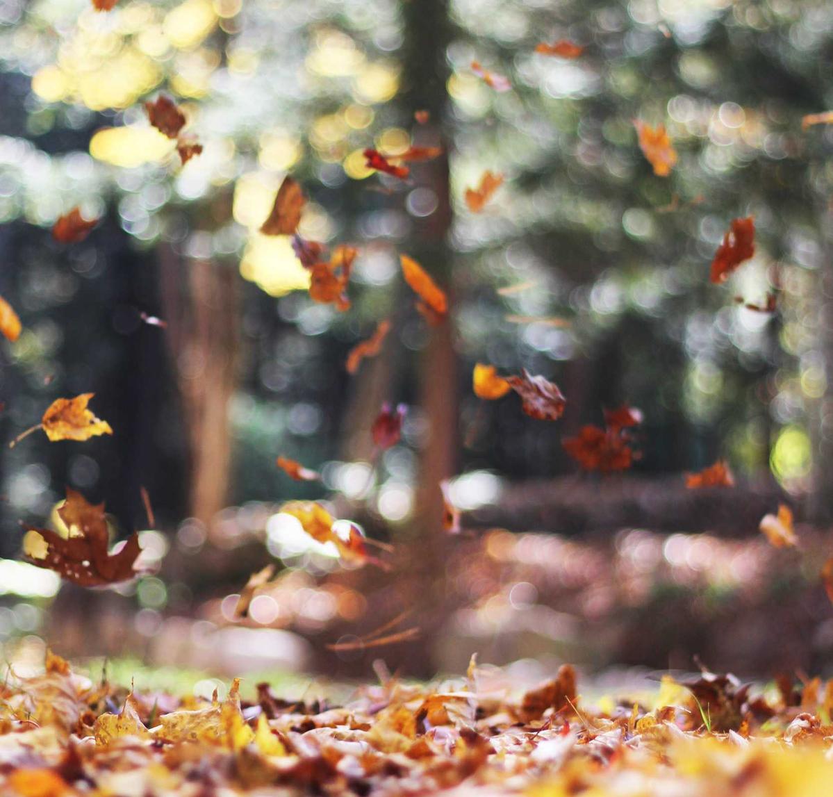 出售微信号码：危化品公司注册代理记账