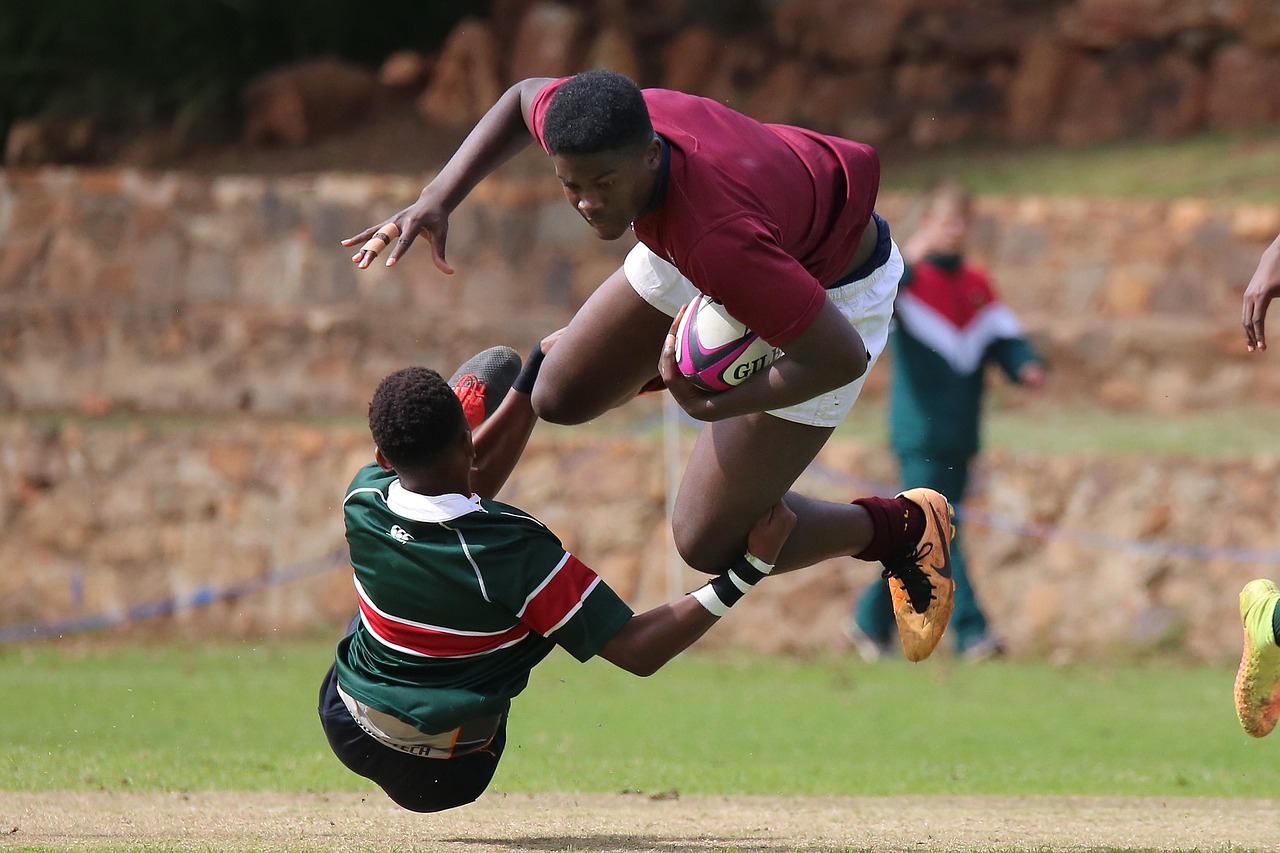 Mond梦都蓝莓:临沧注册代理记账企业